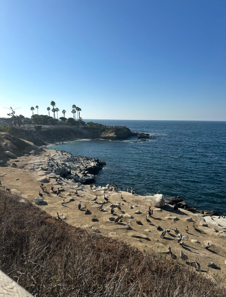 Listen to this when you’re in San Diego!